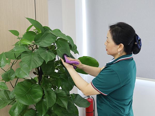 你真的了解保潔嗎？